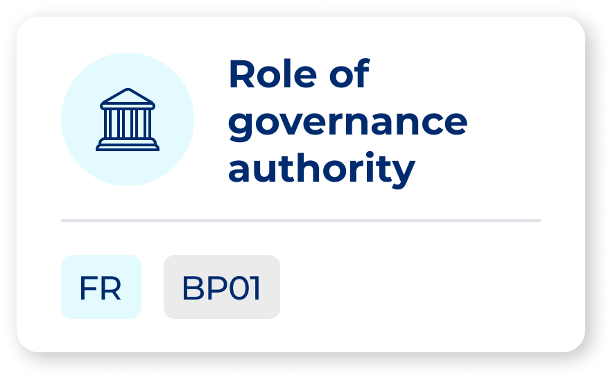 Role of governance authority